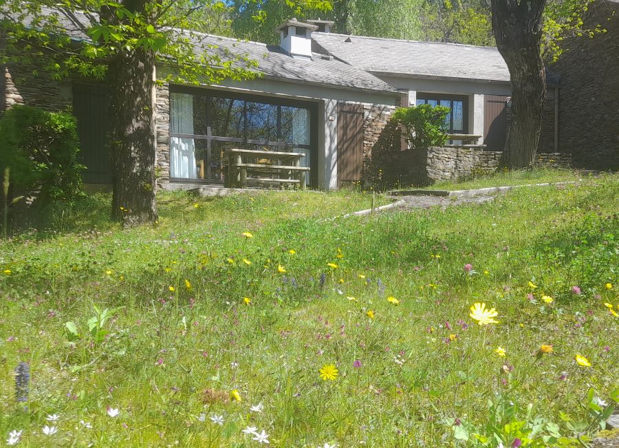 Vue de deux terrasses de gîtes dans le village de vacances les Hauts de Saint Privat, et toutes les fleurs sauvages au premier plan