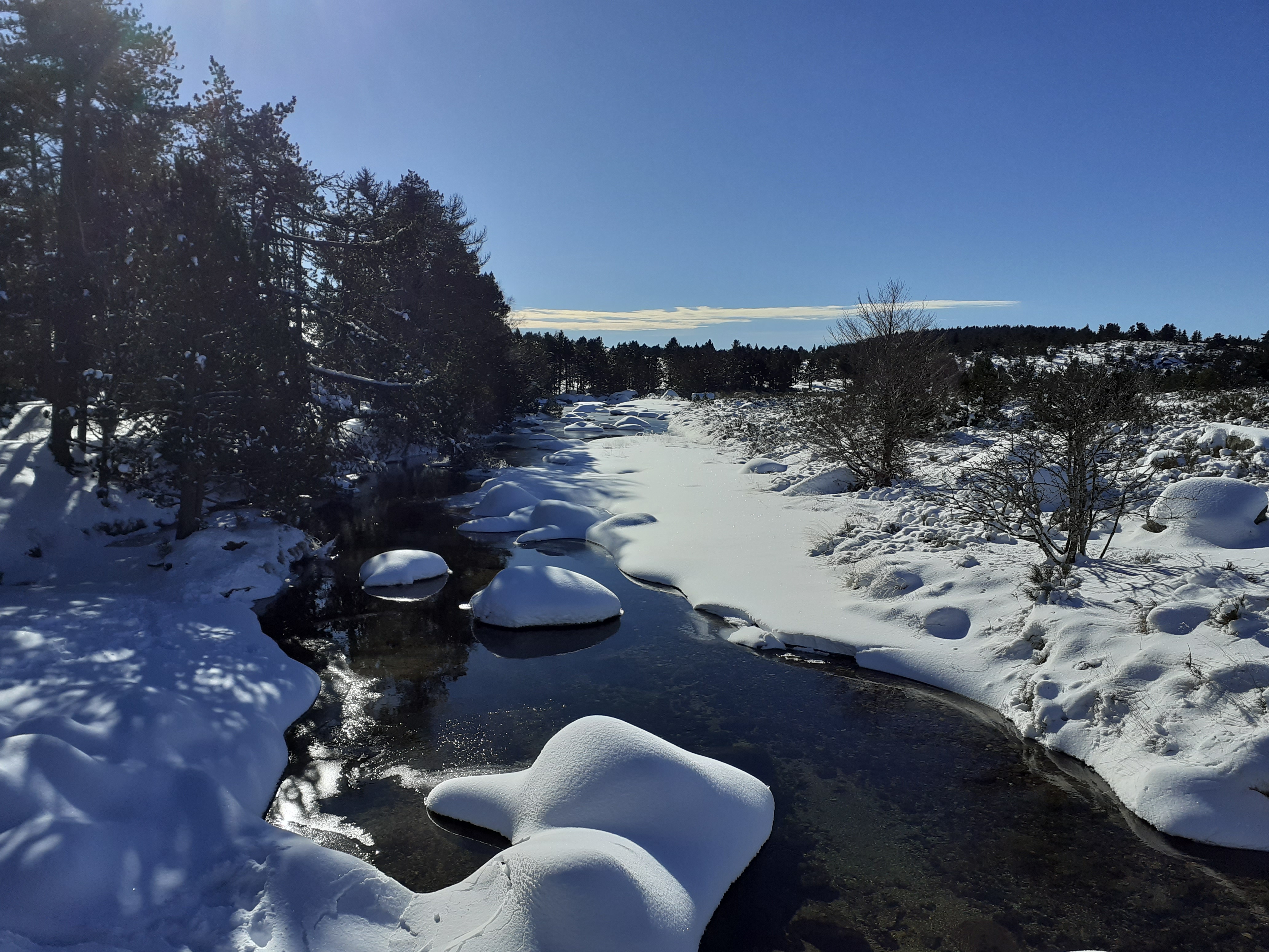 La neige sur le Tarn au Mont Lozère - sublime ! Photo en couleur d'un paysage du Mont Lozère enneigé. Sous un magnifique soleil. Avec le Tarn qui coule juste après sa source...