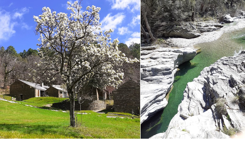 Deux photos : un fruitier en fleur dans le pré du village de vacances les hauts de saint privat et une rivière à la couleur magnifique qui attend vos baignades