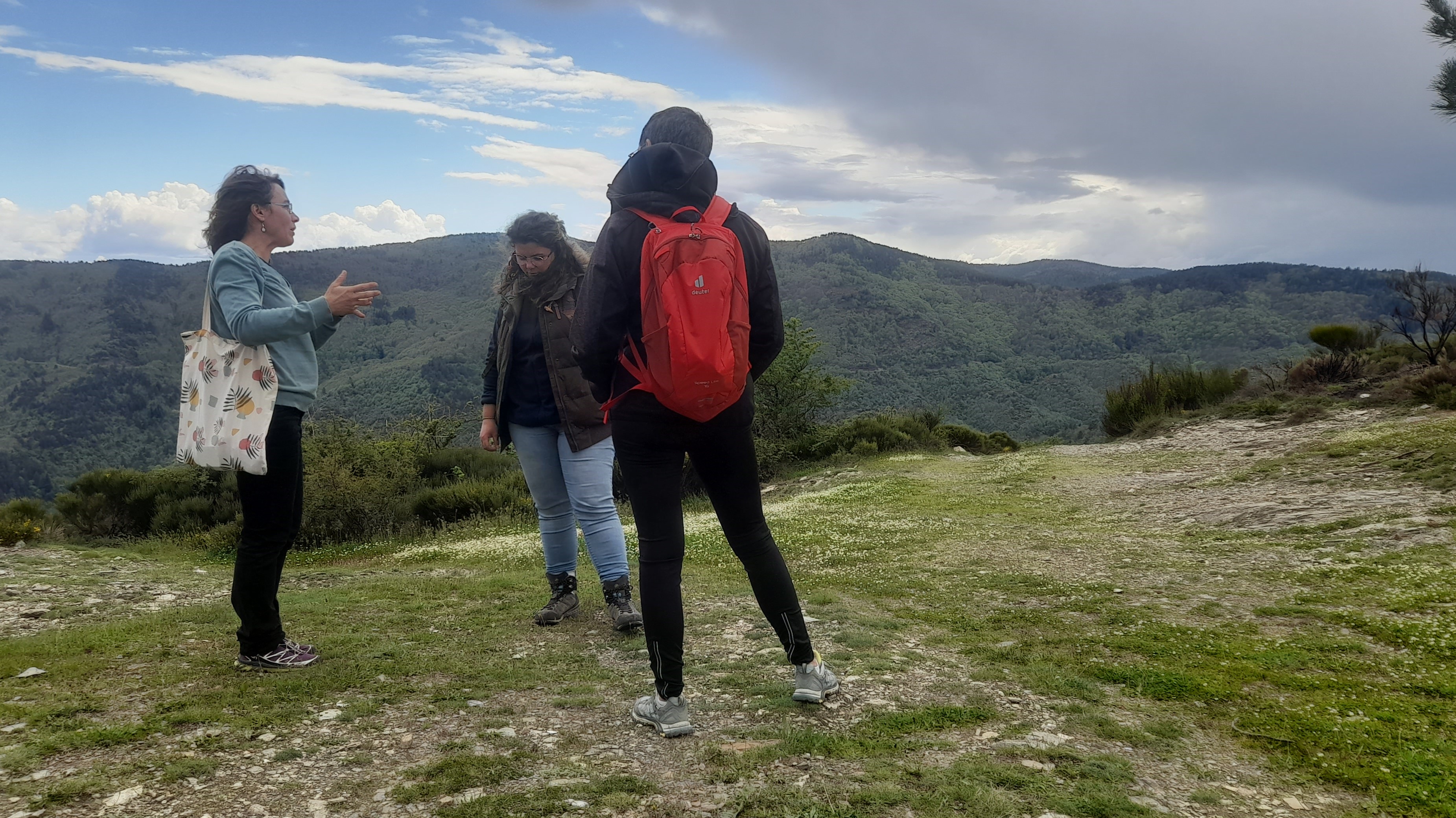 Nos séjours organisés