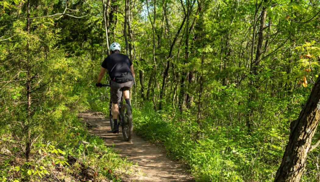 Un cycliste sur un sentier dans une forêt