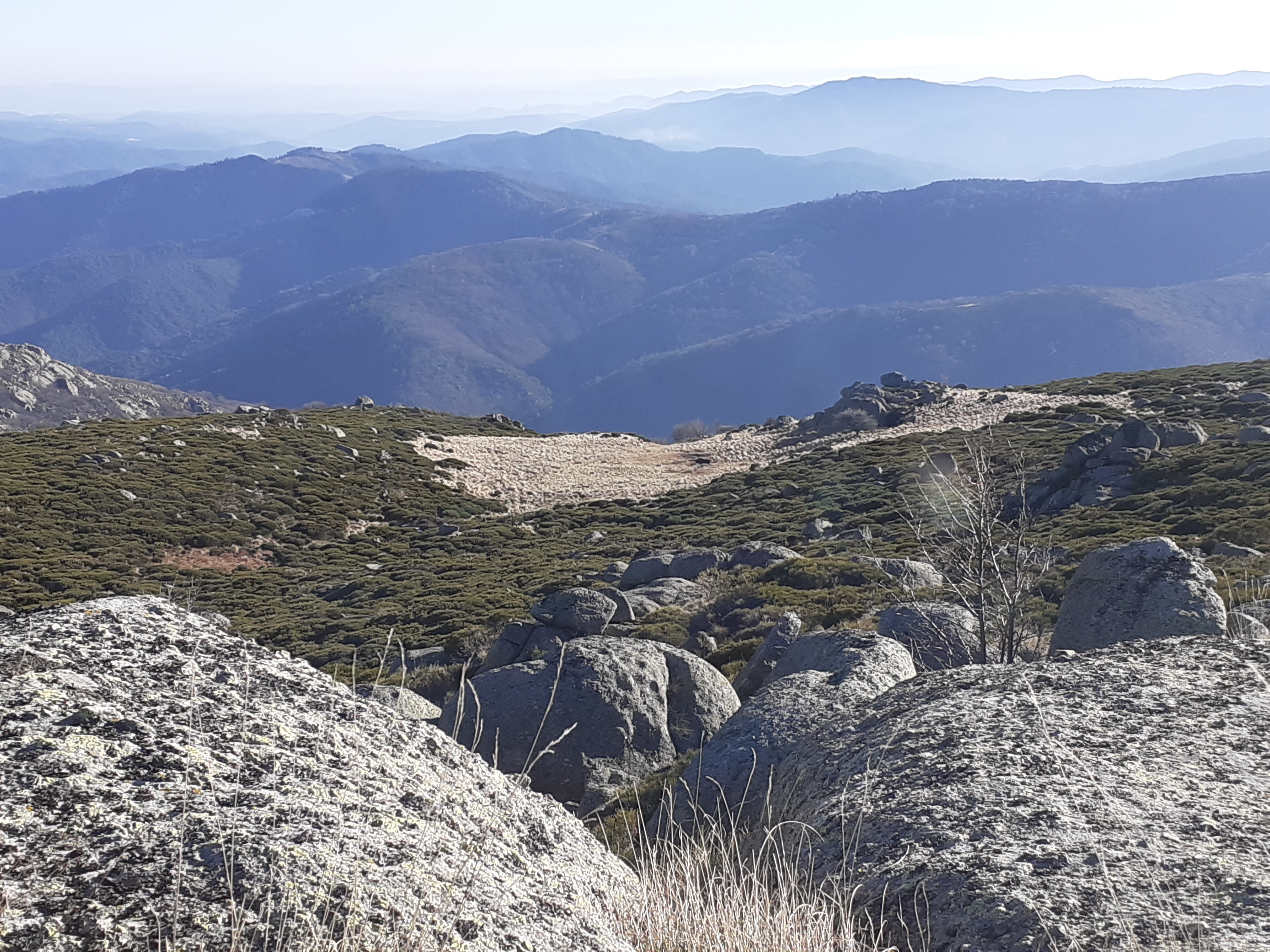 Laissez-nous vous indiquer nos balades sublimes... Photo d'une vue spectaculaire, sur les Cévennes depuis le Mont Lozère
