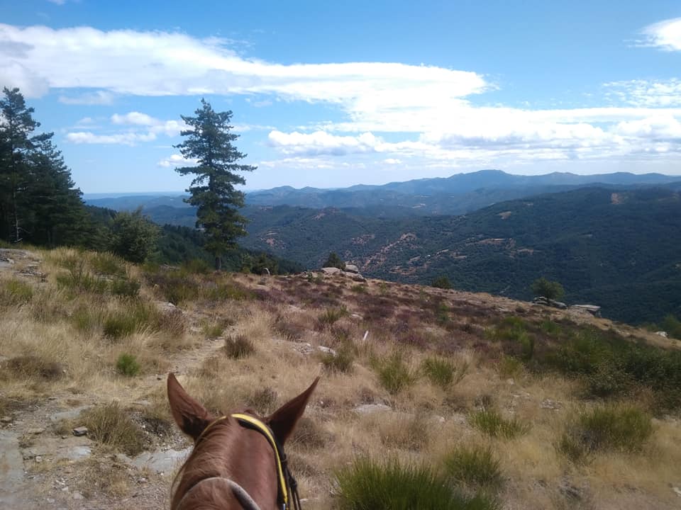 Le cheval un autre moyen de découvrir les Cévennes.