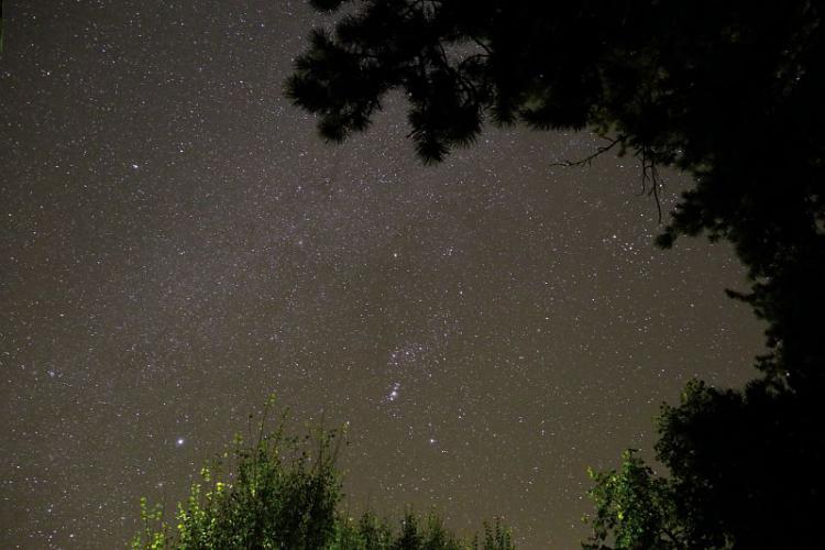 Le ciel étoilé du parc des Cévennes mis à l'honneur 