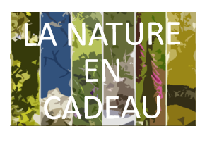 la nature en cadeau