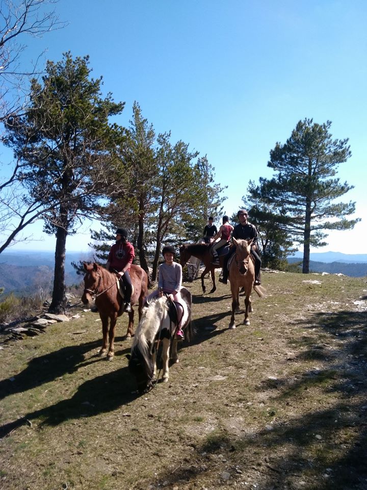 les mourènes