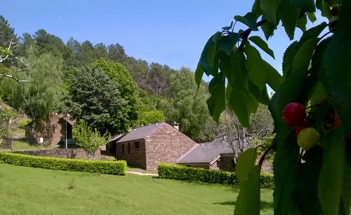 Le village de vacances, les gîtes vus du pré : cerisiers, poiriers... Cévennes Lozère