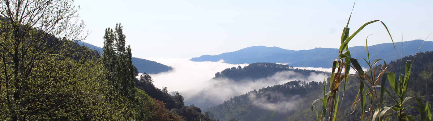 la Vallée Longue vue de Saint Privat